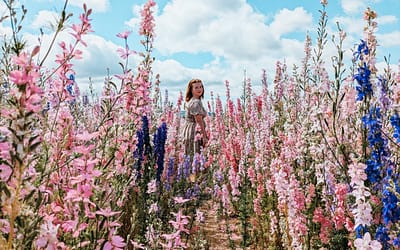 The Confetti Flower Field: Everything You Need to Know Before You Visit