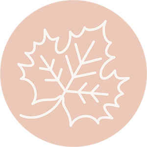 Autumn Icon A simple white line drawing of a maple leaf is centred on a pale peach circular background.