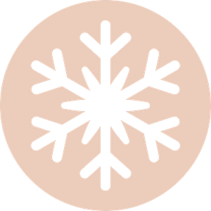 Winter Icon White snowflake icon centred on a light peach circular background.