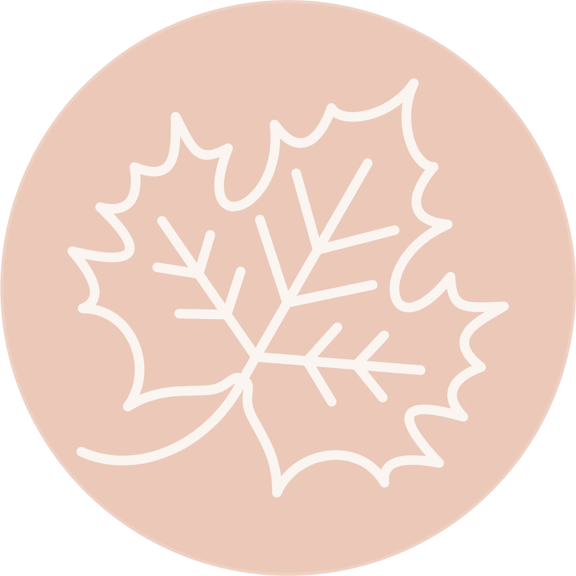 Autumn Icon A simple white line drawing of a maple leaf is centred on a pale peach circular background.