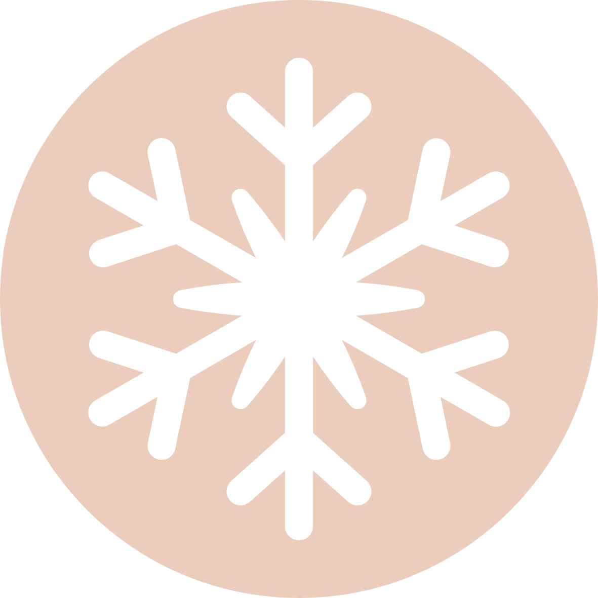 Winter Icon White snowflake icon centred on a light peach circular background.